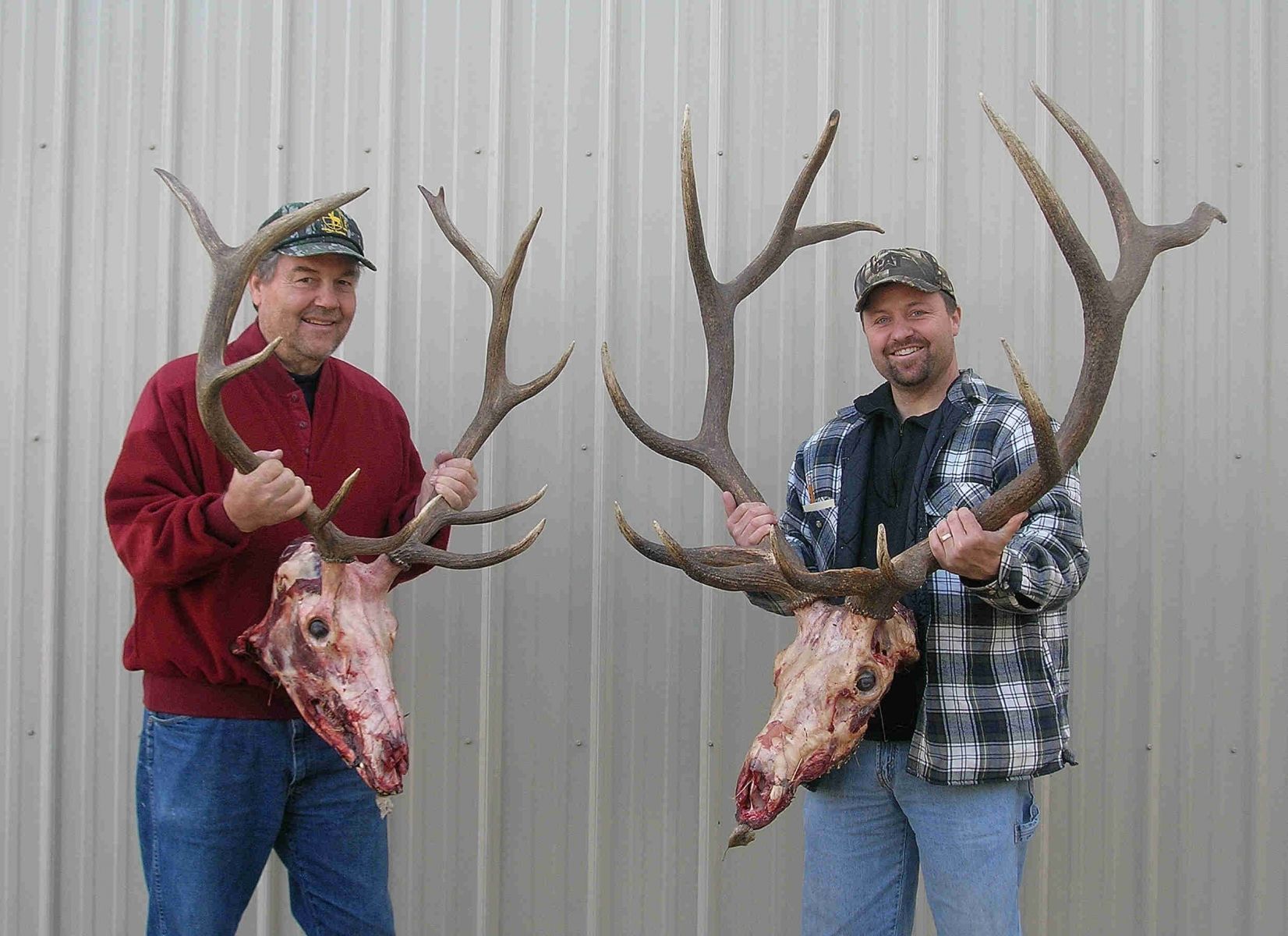 Rifle Elk/Deer Hunts Gallery Image