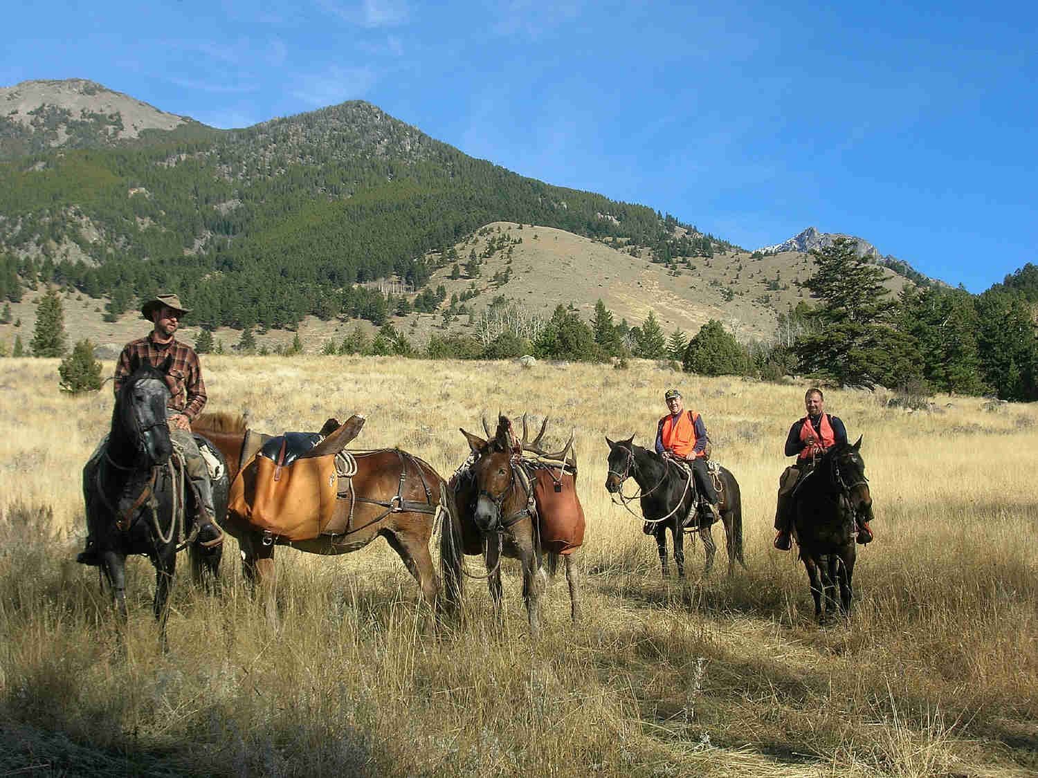 Rifle Elk/Deer Hunts Gallery Image