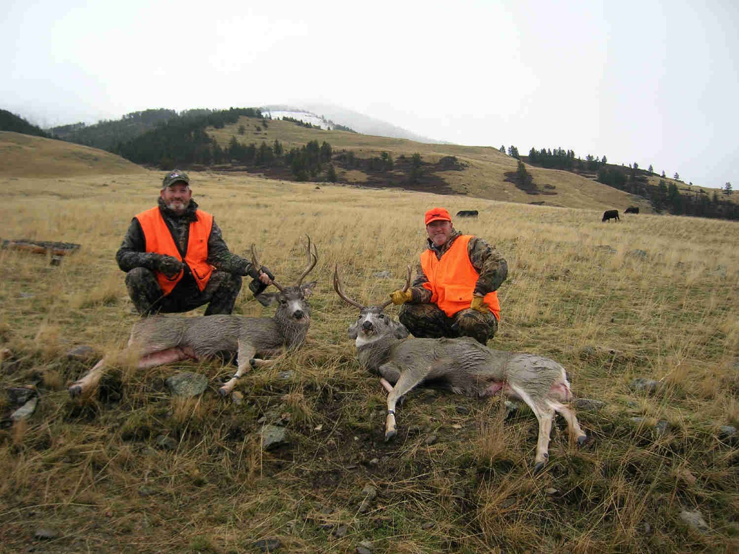 Rifle Elk/Deer Hunts Gallery Image