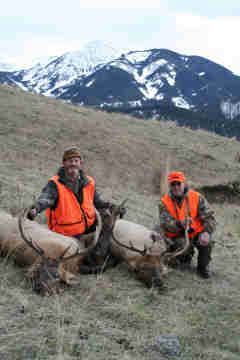 Rifle Elk/Deer Hunts Gallery Image