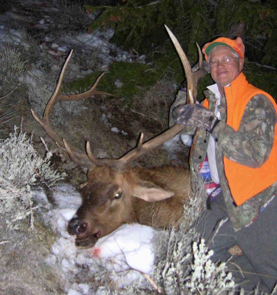 Rifle Elk/Deer Hunts Gallery Image