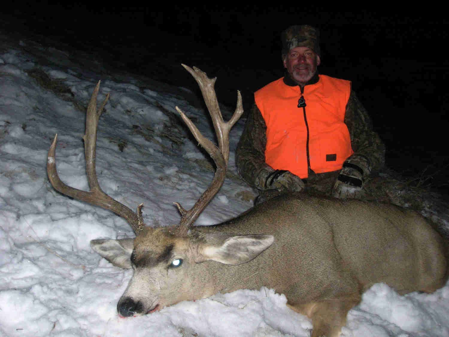 Rifle Elk/Deer Hunts Gallery Image