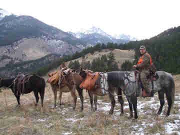 Rifle Elk/Deer Hunts Gallery Image