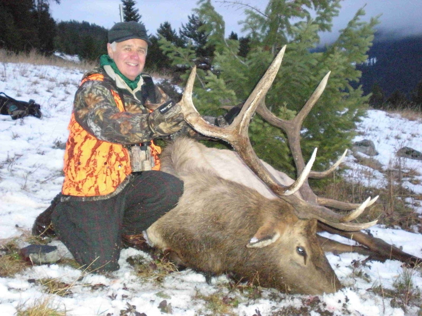 Rifle Elk/Deer Hunts Gallery Image