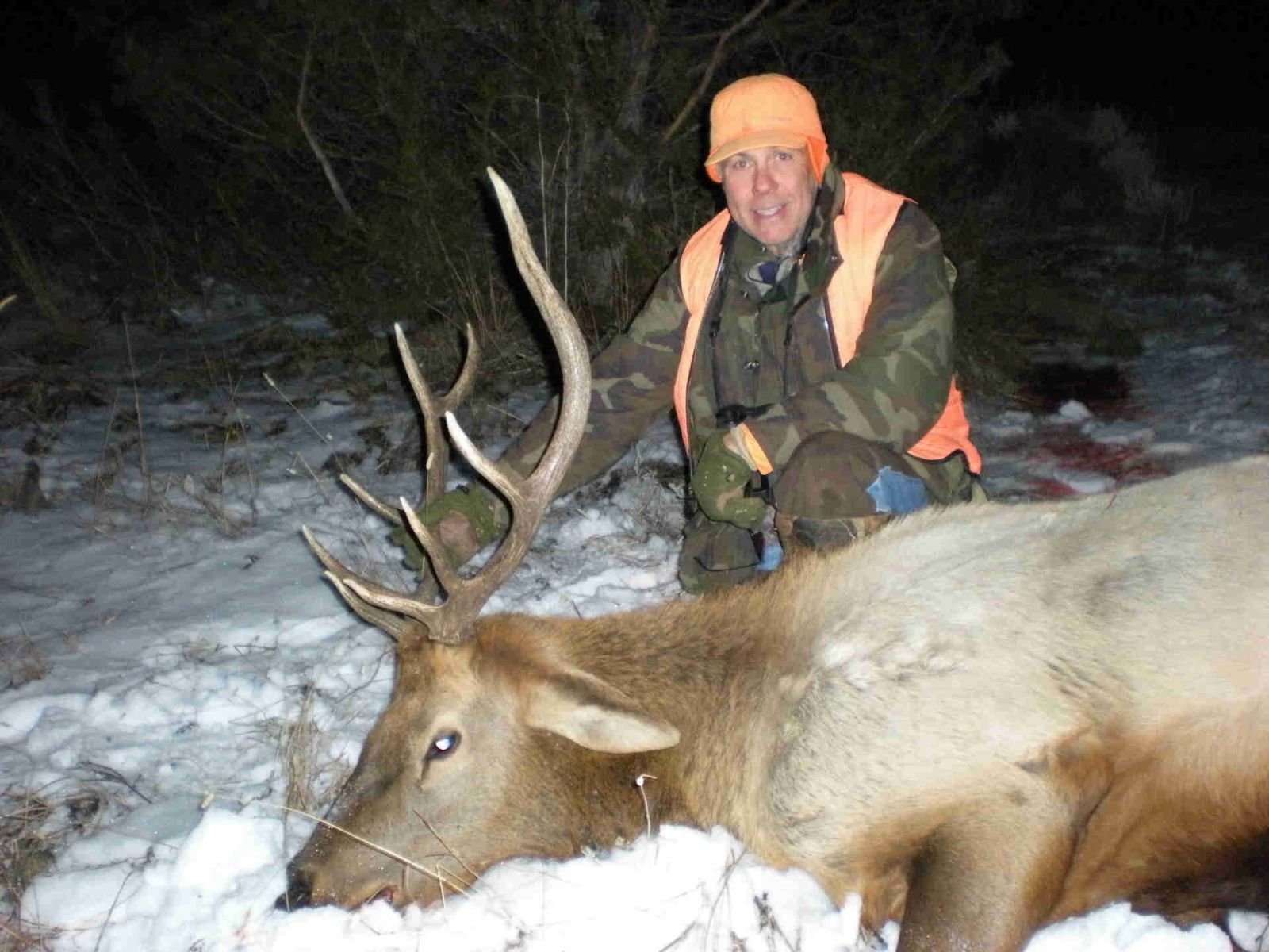 Rifle Elk/Deer Hunts Gallery Image