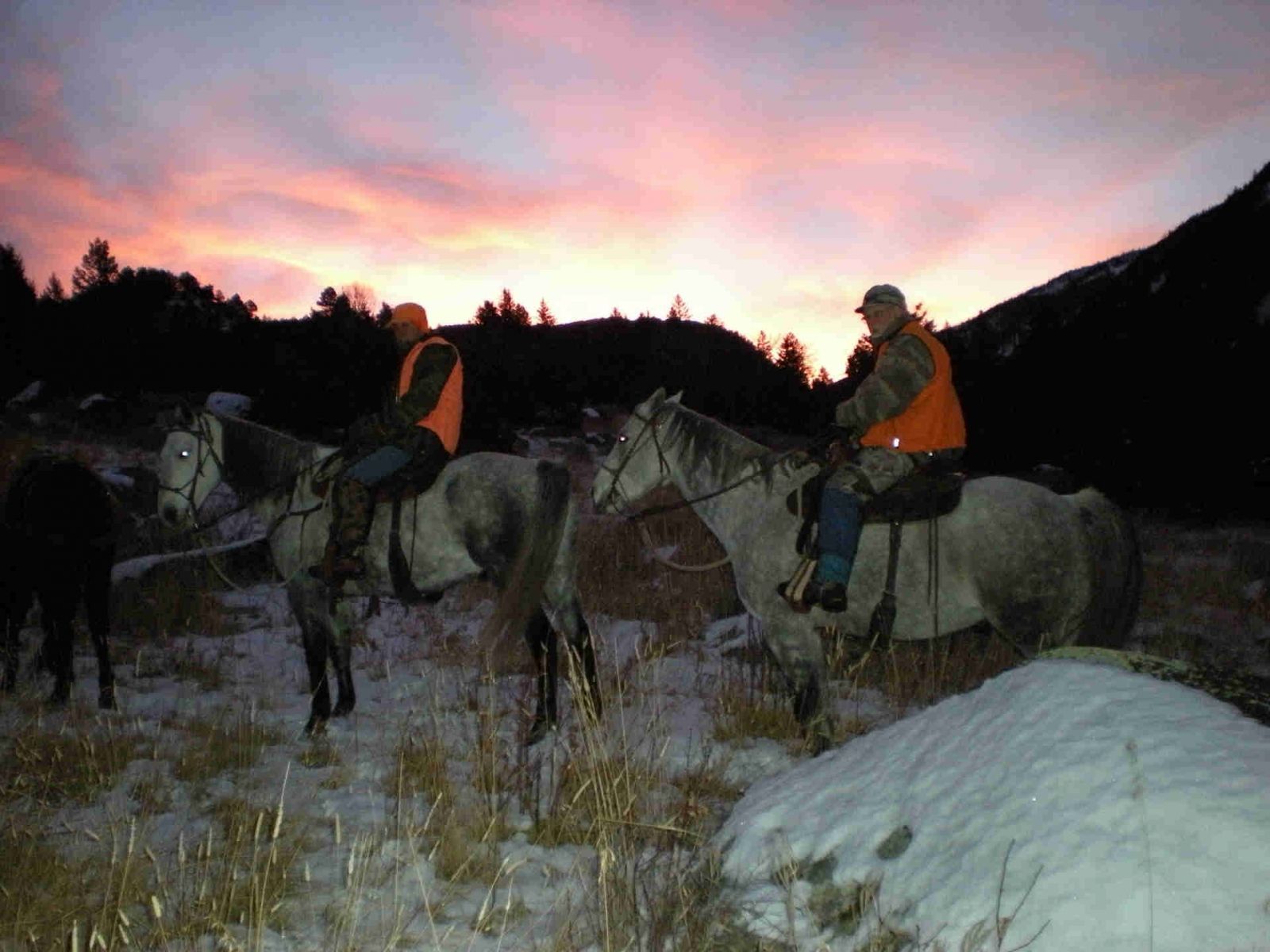 Rifle Elk/Deer Hunts Gallery Image