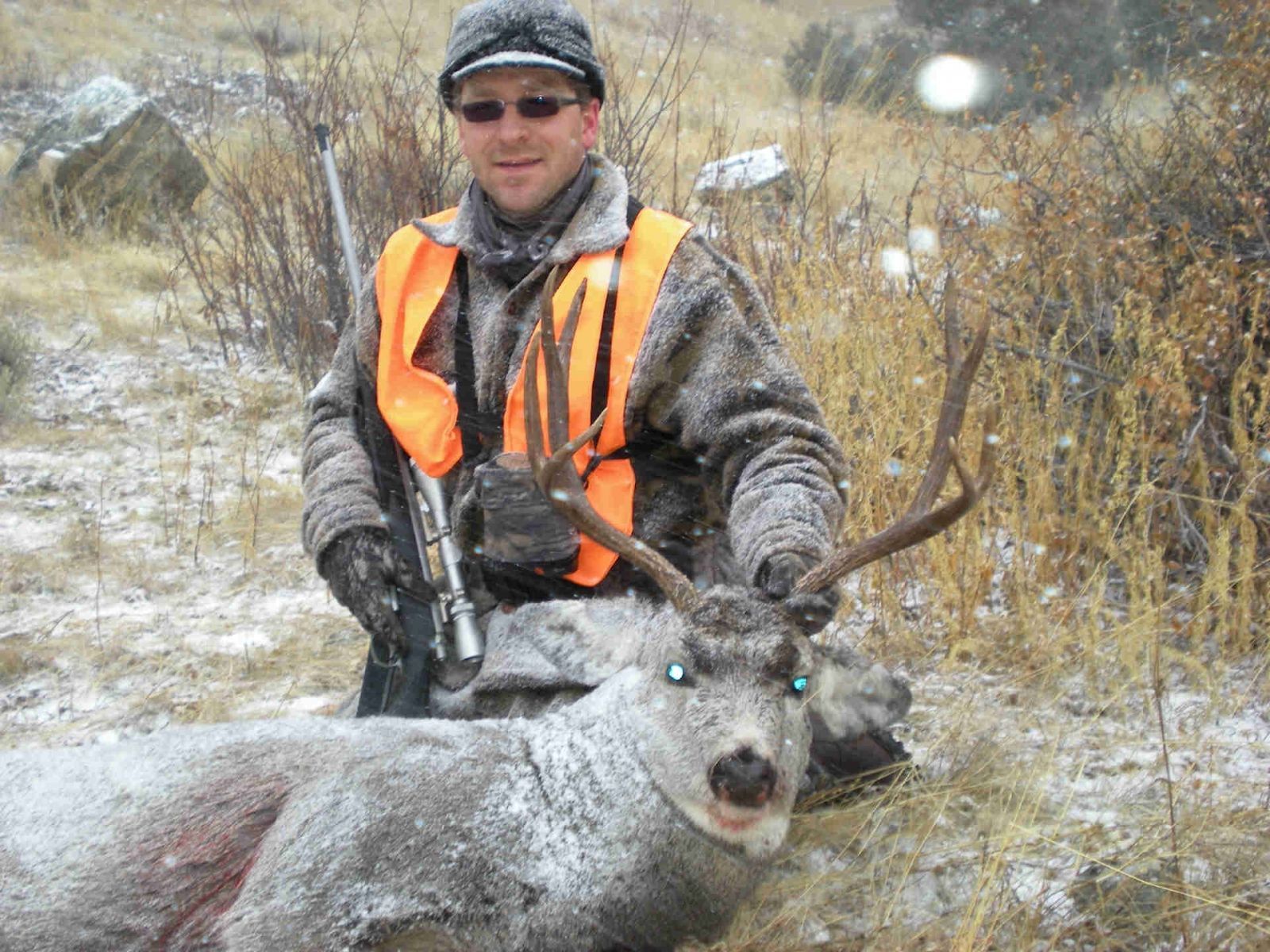 Rifle Elk/Deer Hunts Gallery Image