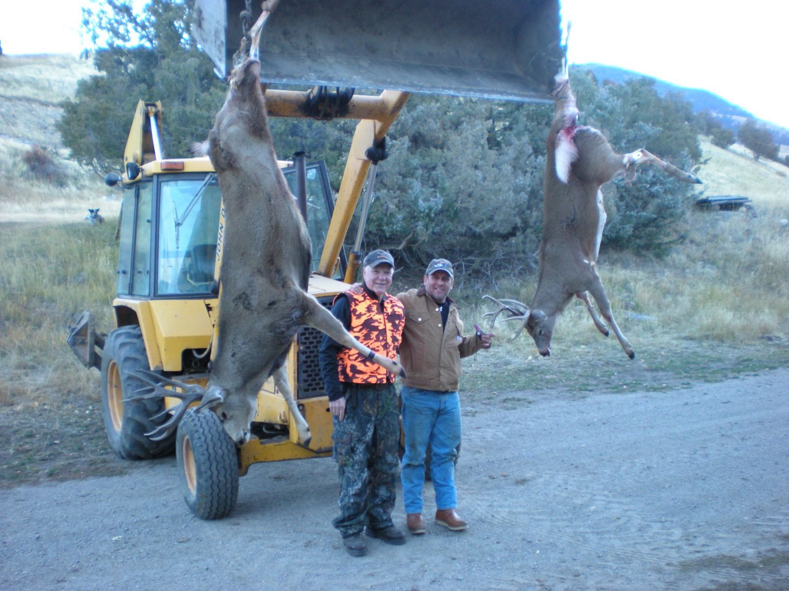 Rifle Elk/Deer Hunts Gallery Image