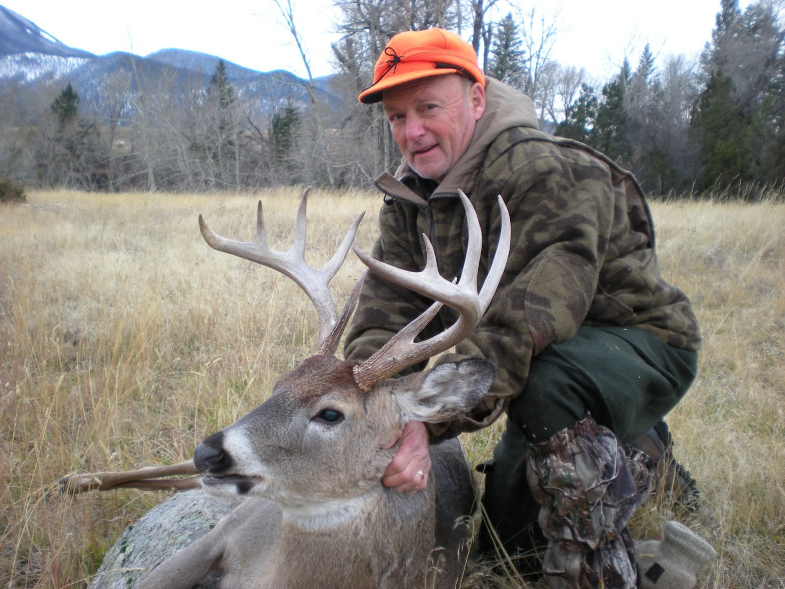 Rifle Elk/Deer Hunts Gallery Image