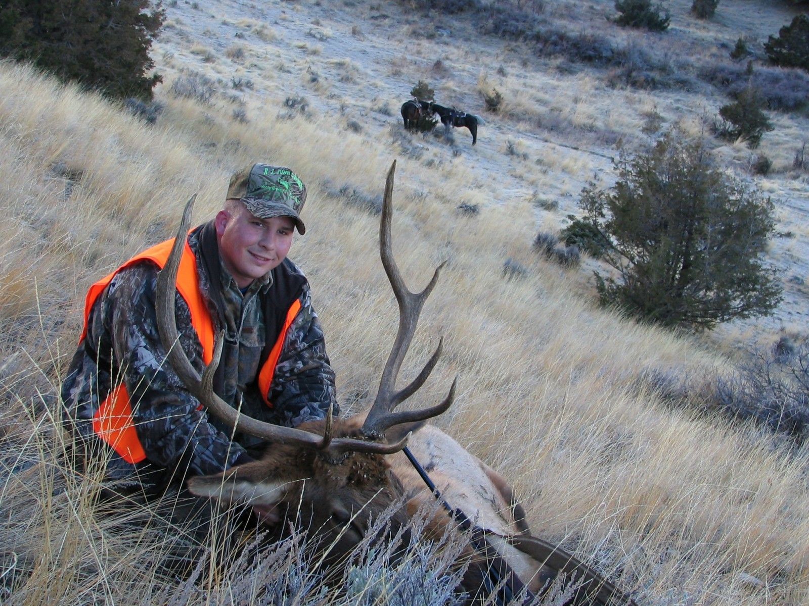 Rifle Elk/Deer Hunts Gallery Image
