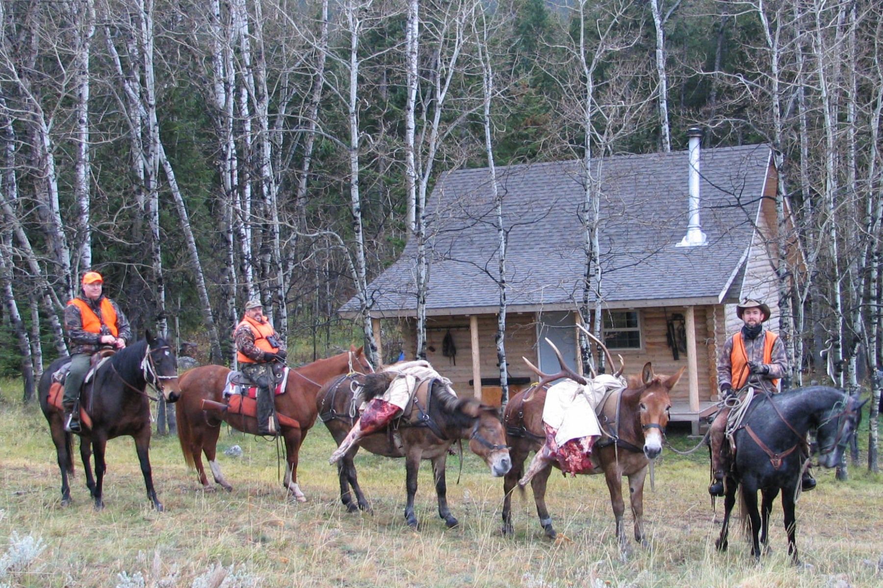 Rifle Elk/Deer Hunts Gallery Image