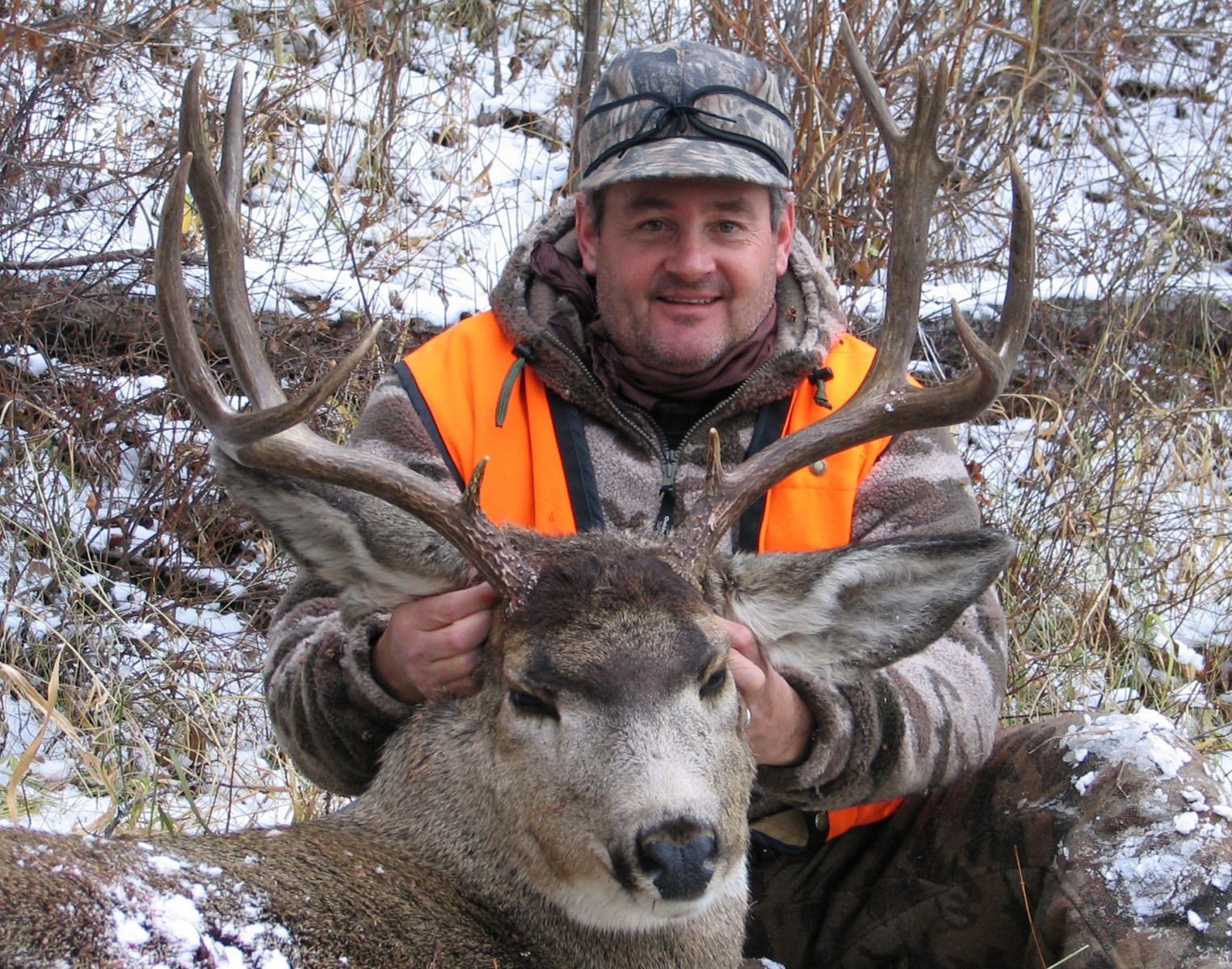 Rifle Elk/Deer Hunts Gallery Image