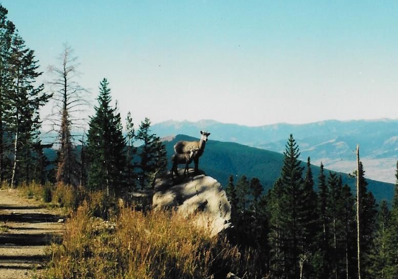 2001