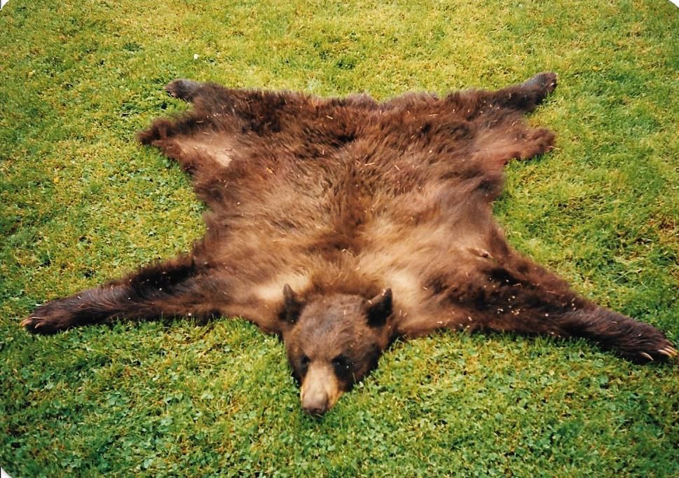 Freidag Bear Rug
