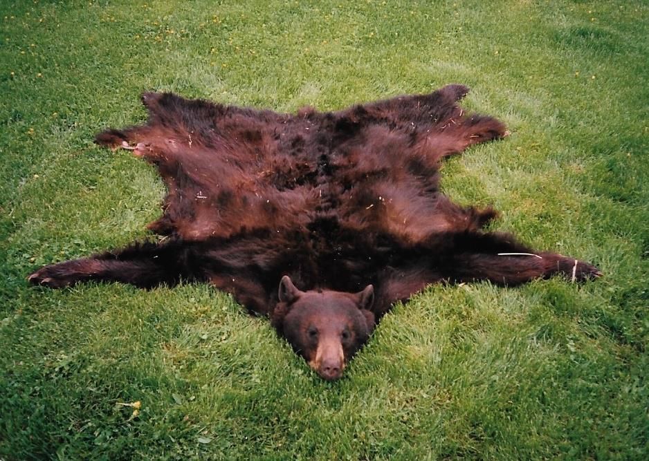 Schneider Bear Rug