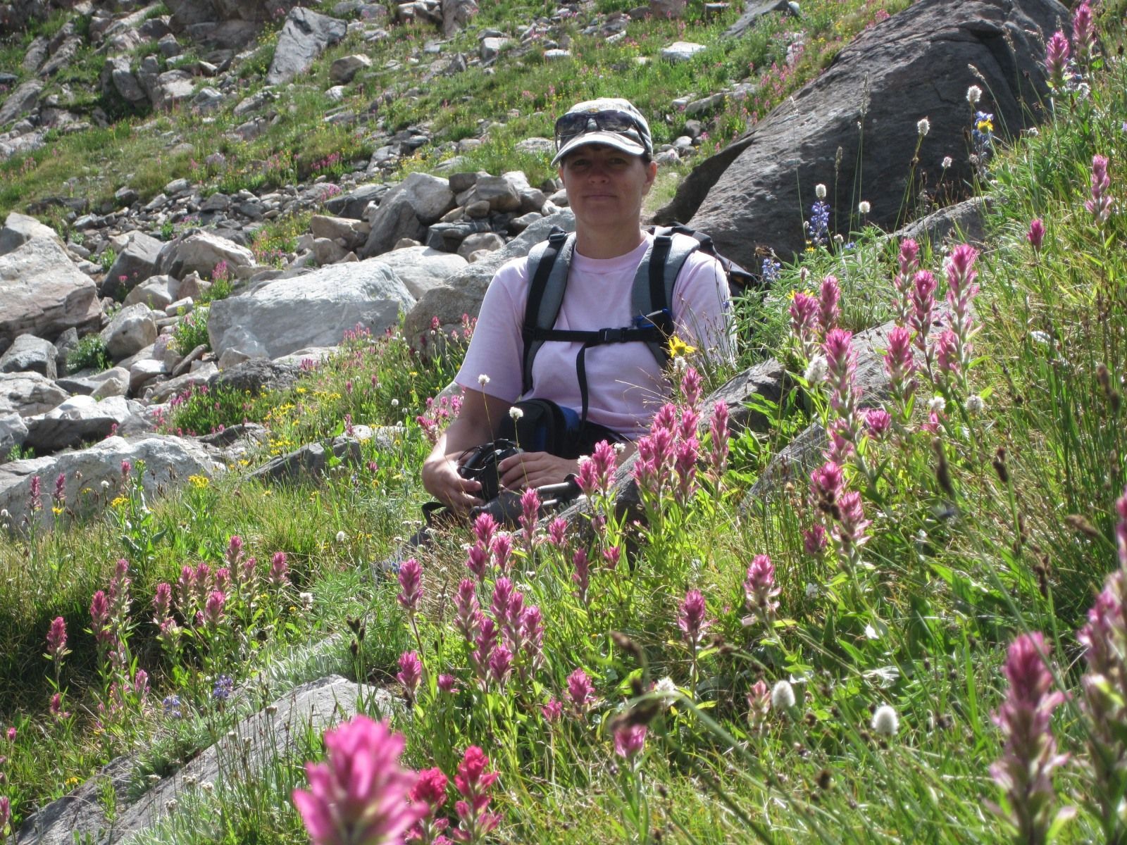 Absaroka Wilderness Photo