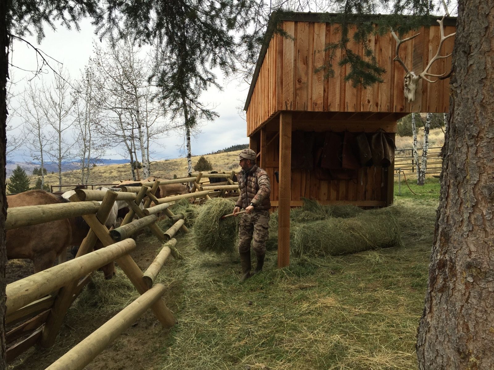 Camp chores
