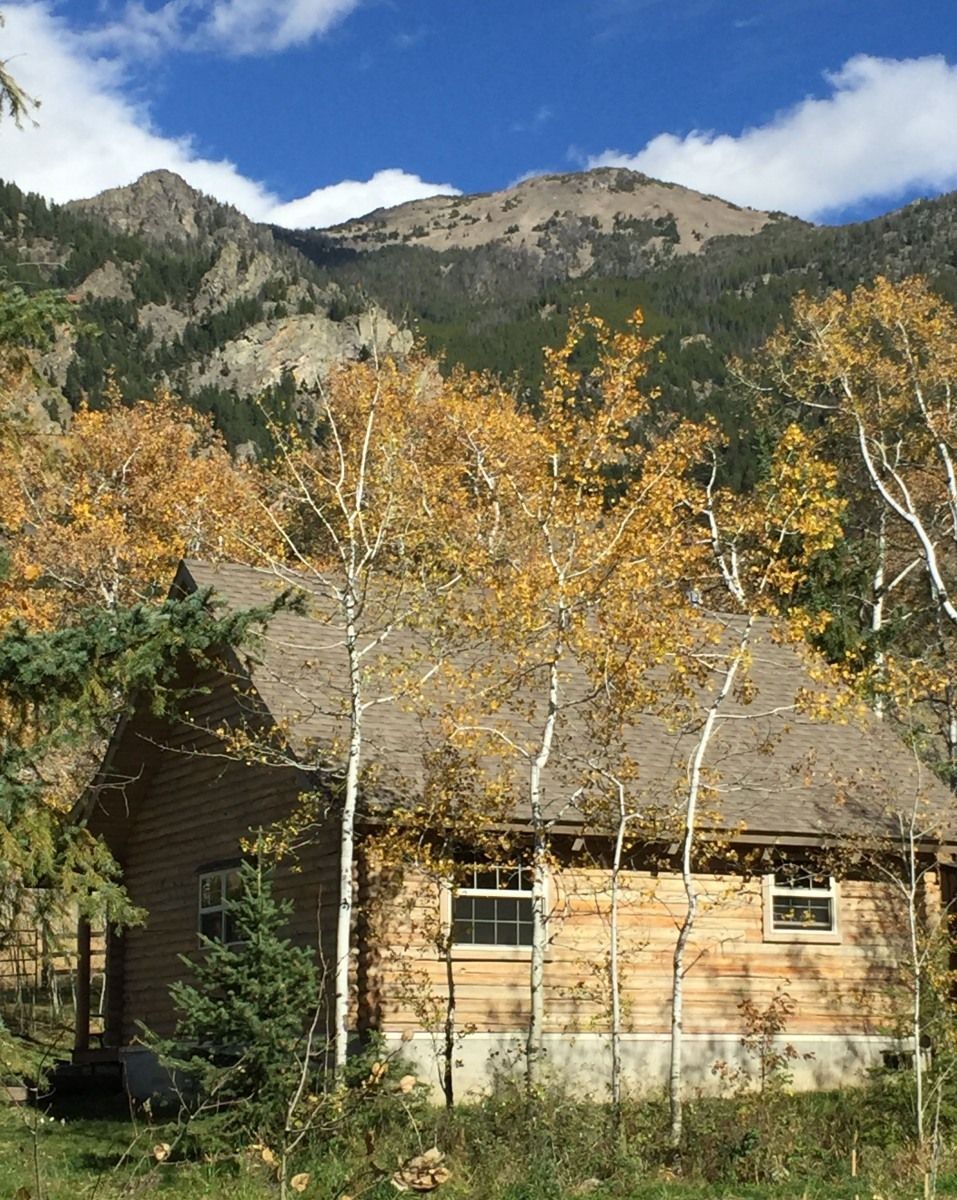 RSO Hunting Cabin
