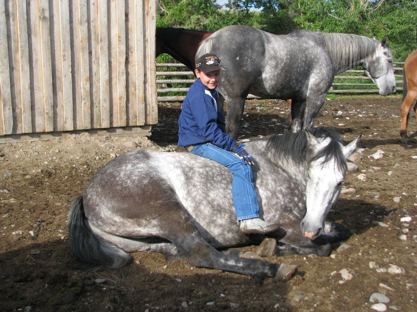 Petrich Ranch Photo