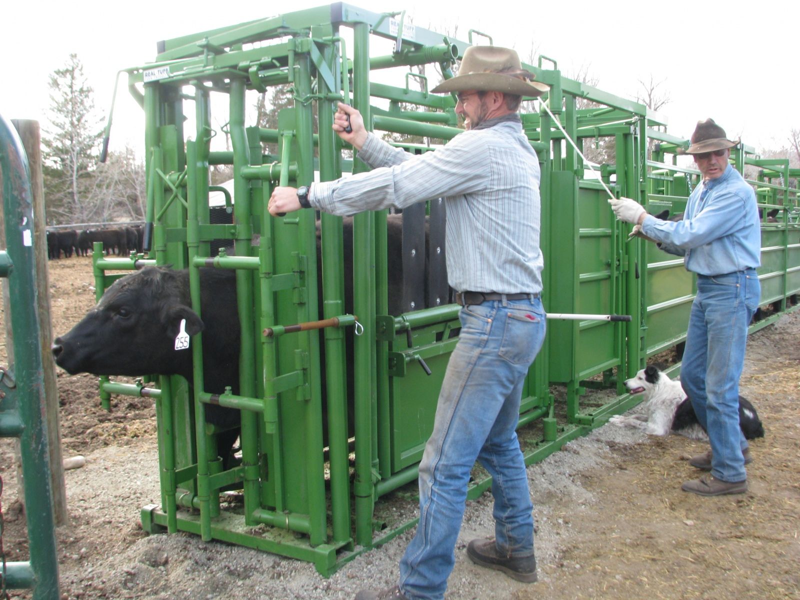 Petrich Ranch Photo