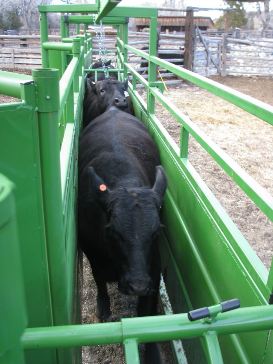 Petrich Ranch Photo