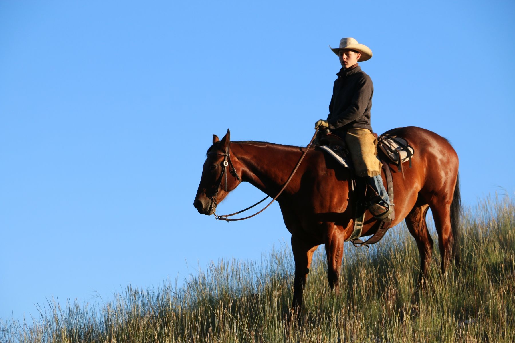 Petrich Ranch Photo