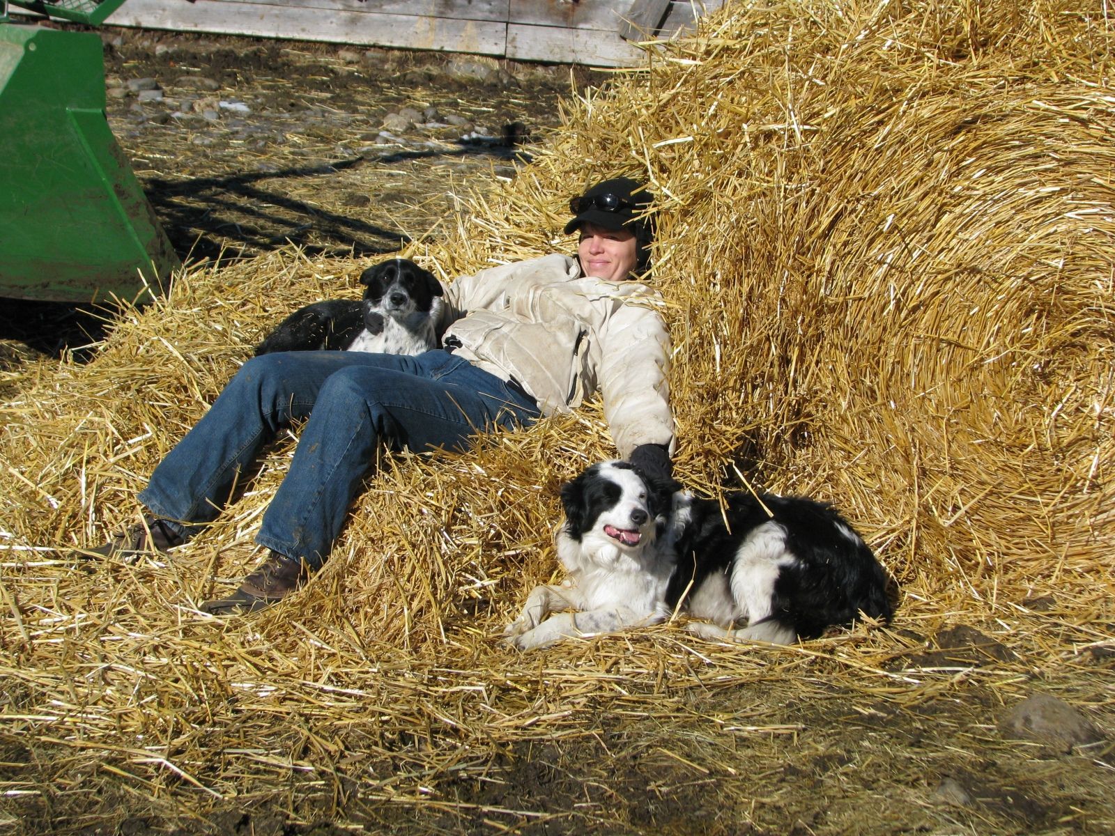 Petrich Ranch Photo