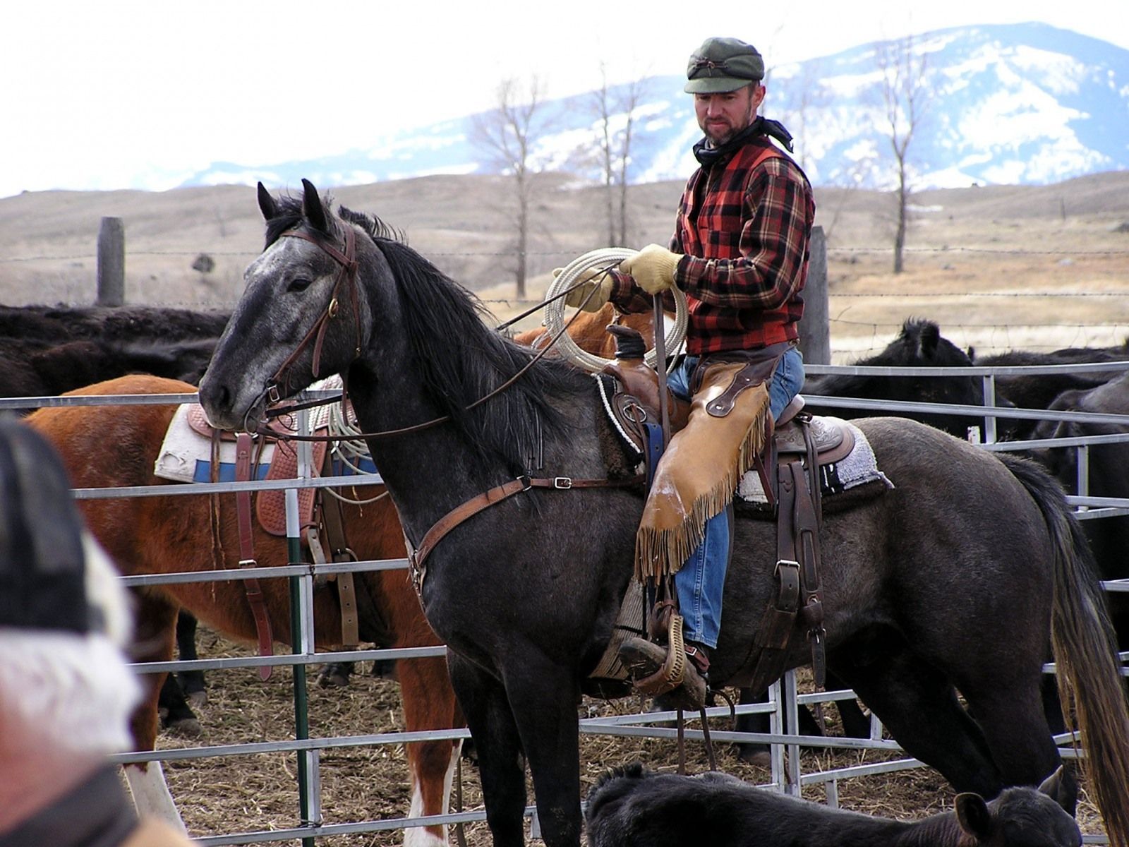Petrich Ranch Photo