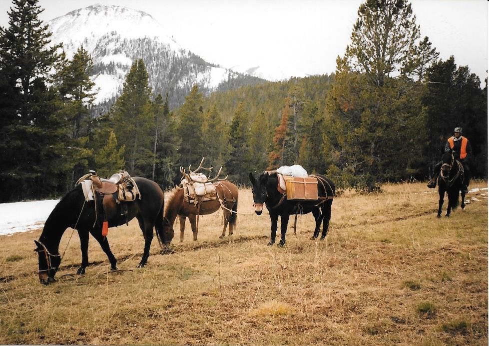Rifle Elk/Deer Hunts Gallery Image