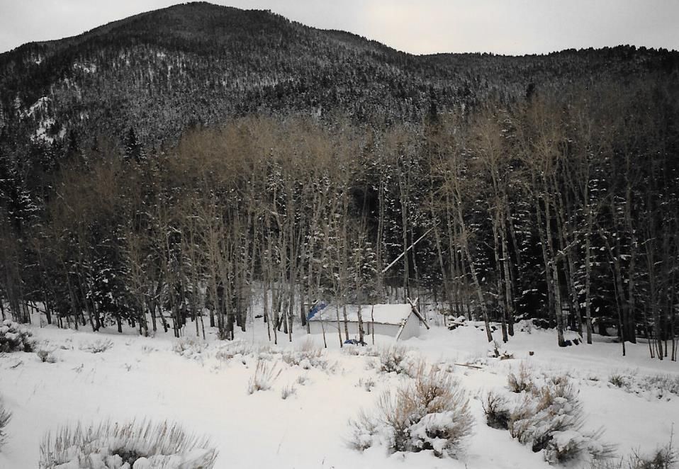 Rifle Elk/Deer Hunts Gallery Image