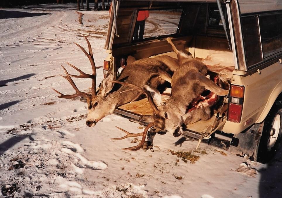 Rifle Elk/Deer Hunts Gallery Image