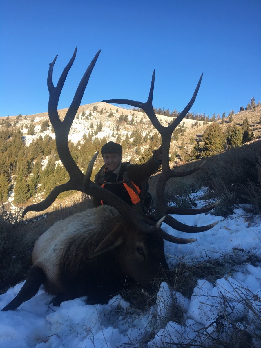 Bull of a Lifetime!!!