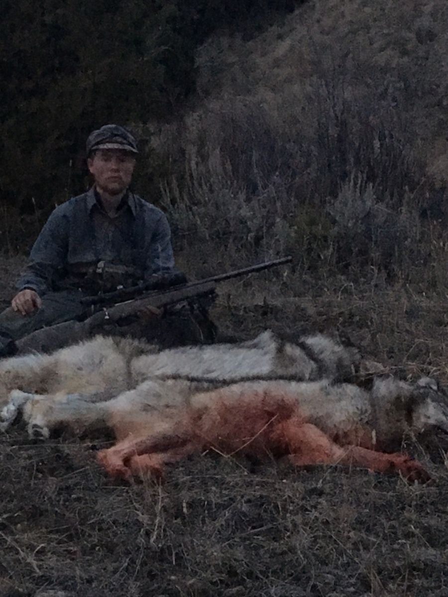 Zach's Daily Wolf Double