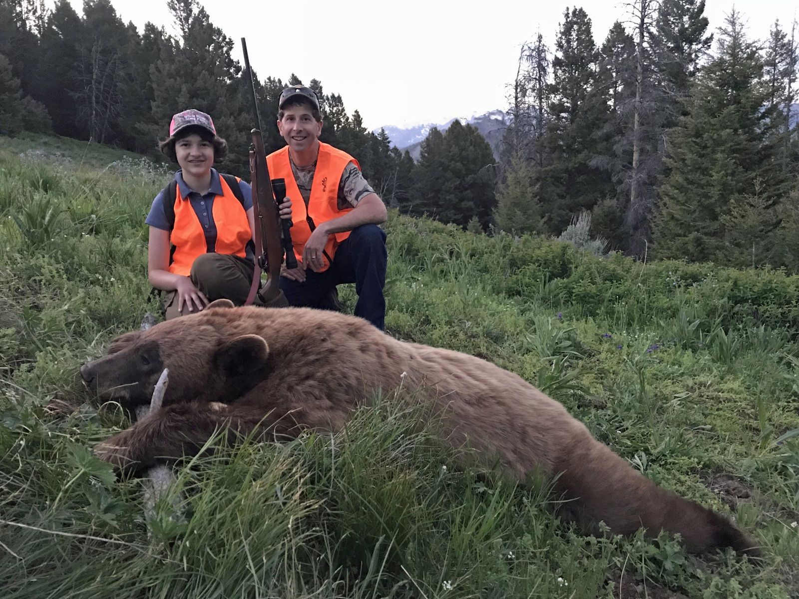Beautiful Bear!