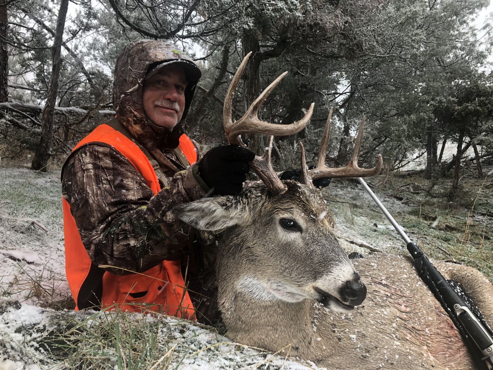 Rifle Elk/Deer Hunts Gallery Image