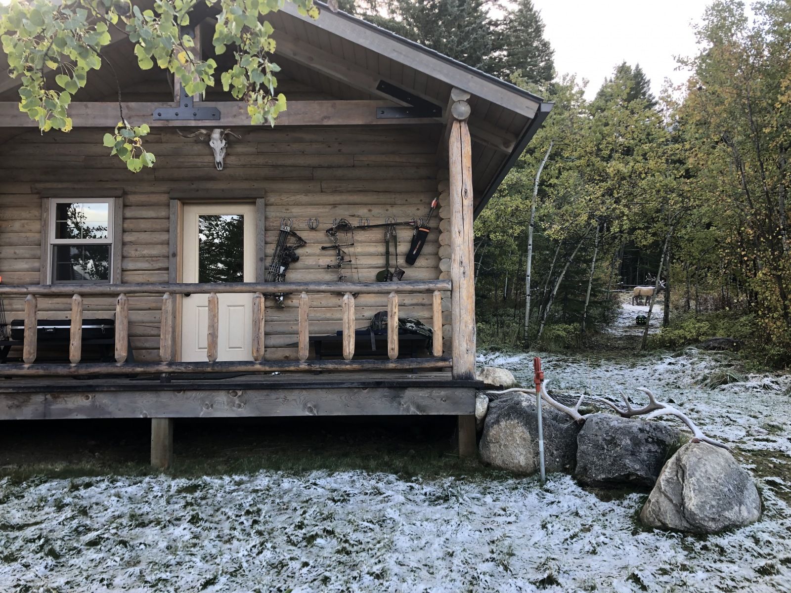 Hunter's Cabin & Target