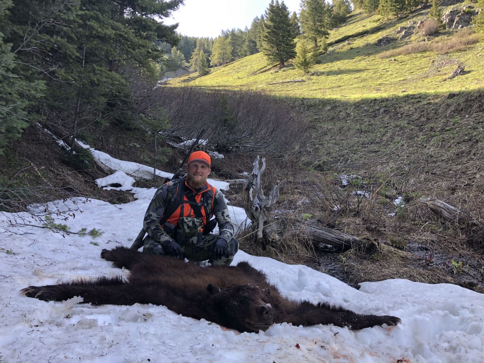 Trophy Backcountry Bear