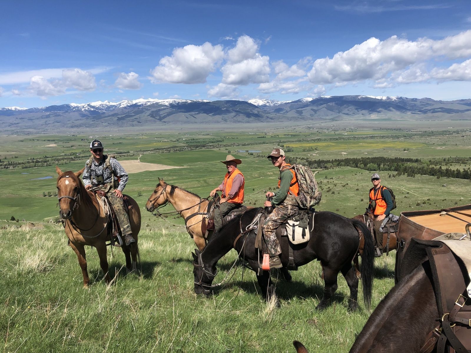 MT Spring Bear Hunting