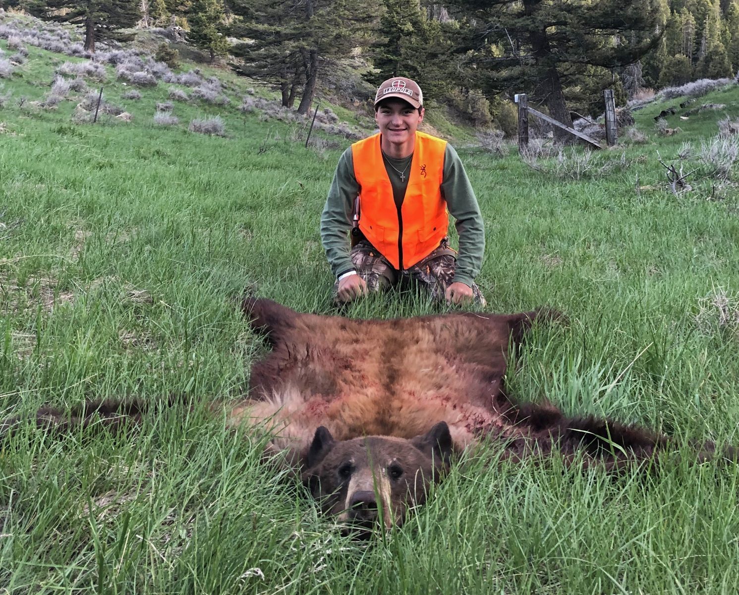 Beautiful Color Phase Bear