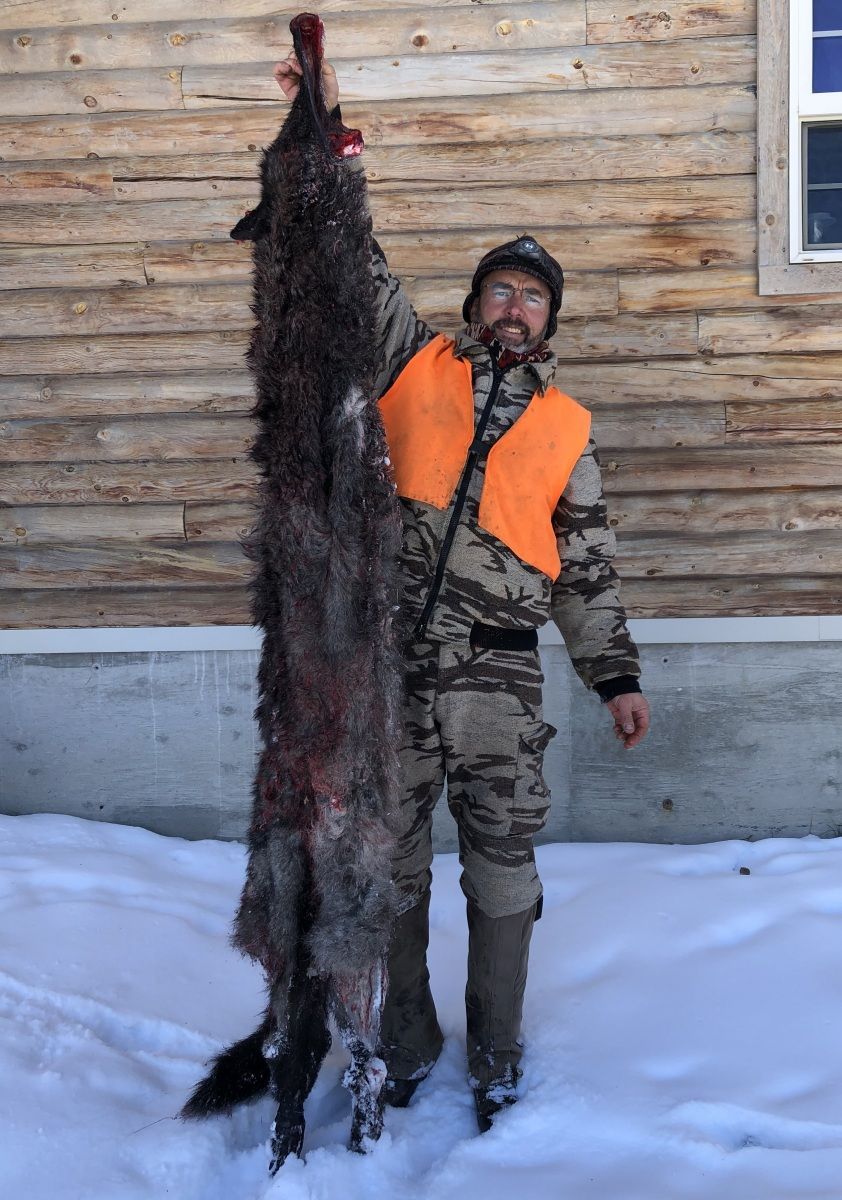 Giant Black Wolf