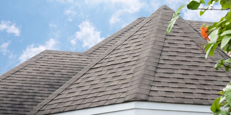 Roof of a house with brown shingles against a blue sky with clouds, some green leaves in the right corner.