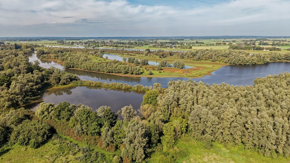 Fens in Friesland