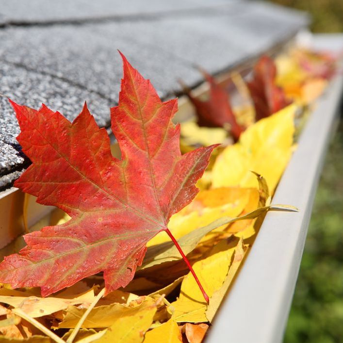 Rain Gutter Full Of Leaves