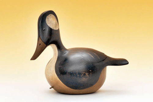 Hooded Merganser Drake