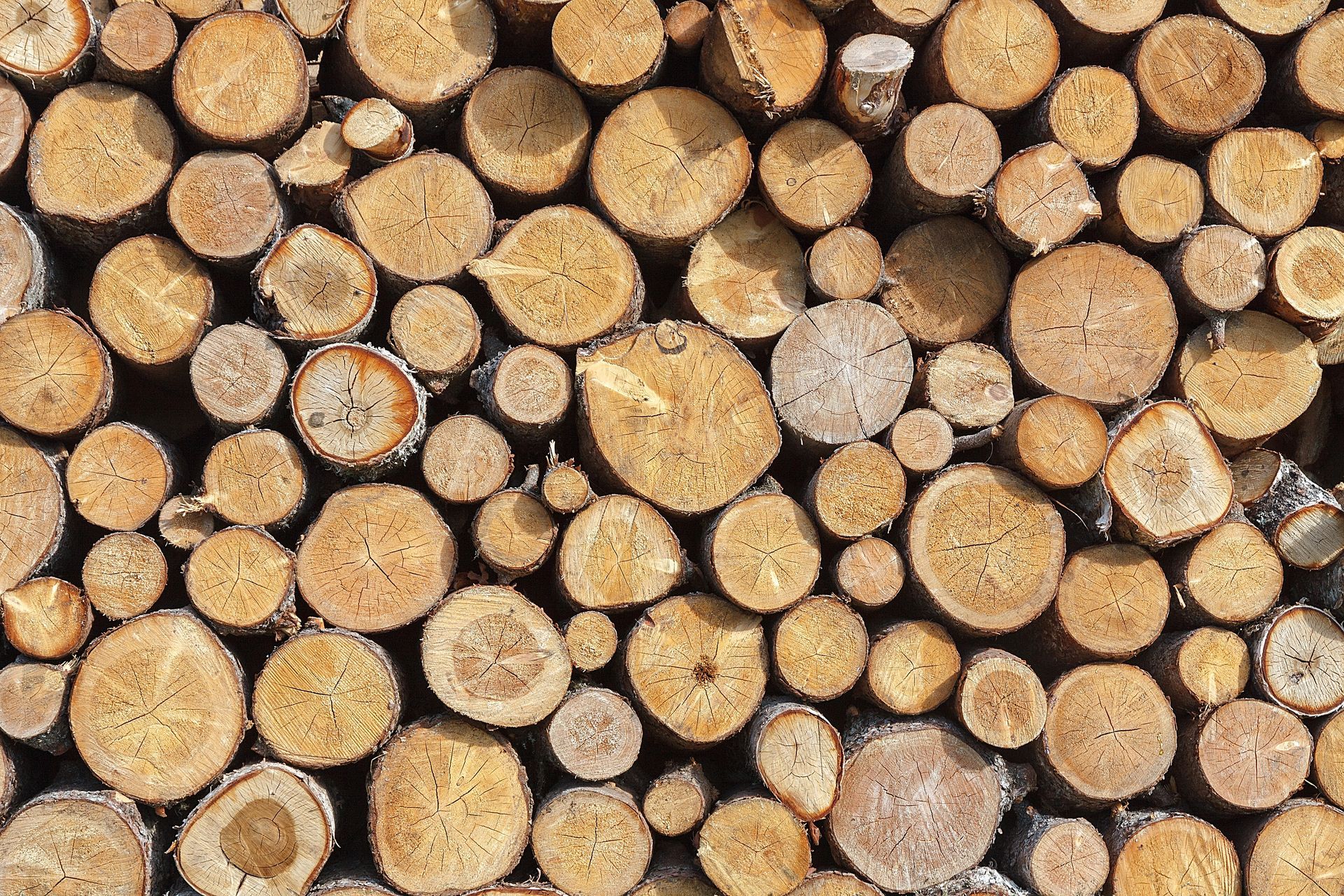 A pile of logs stacked on top of each other.