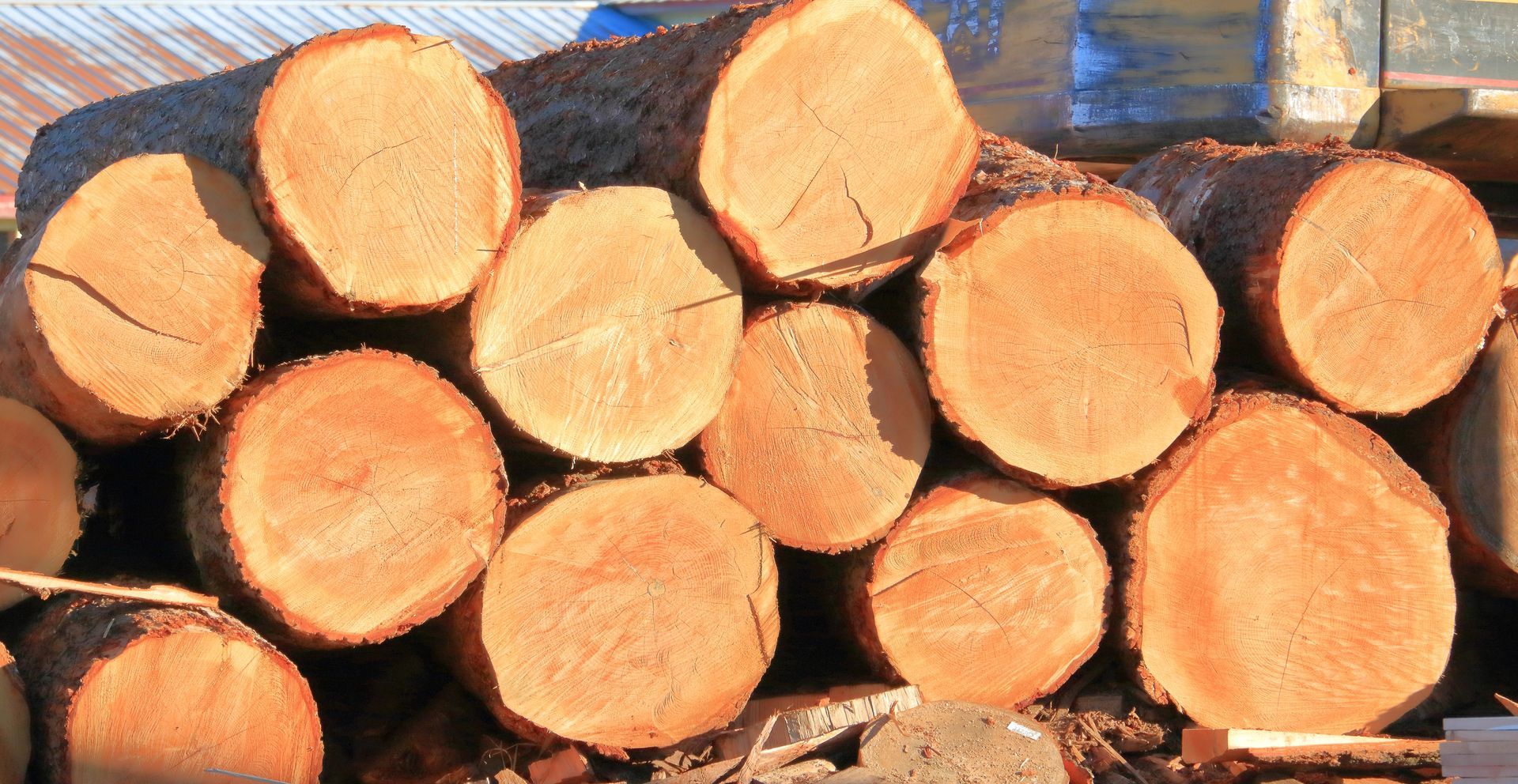 A large stack of logs is on the back of a truck.