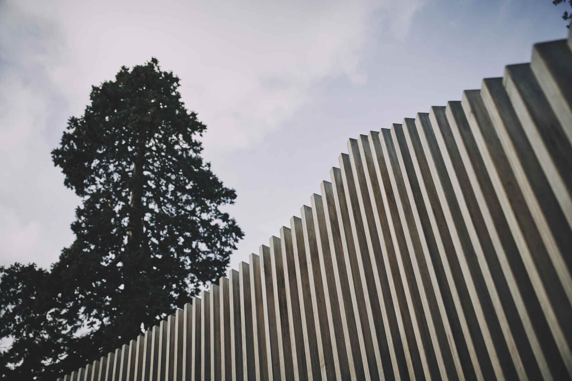 A black and white striped fence with a tree in the background