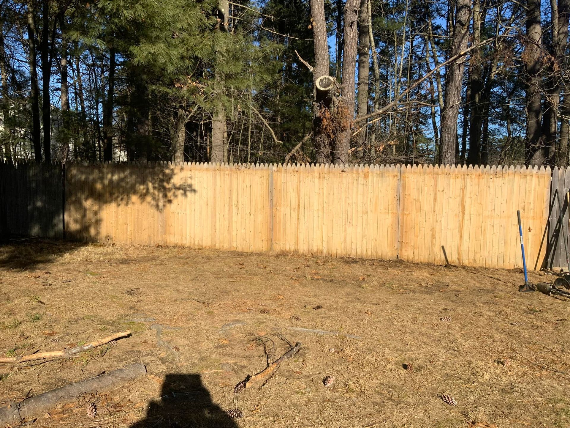 Wooden fence in a backyard with dry leaves on the ground and trees in the background.