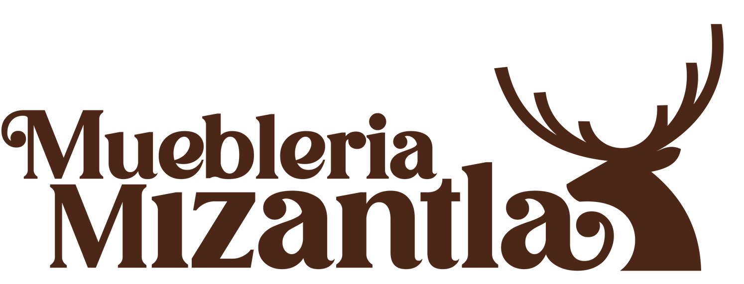 Inicio - Muebleriamisantla.com