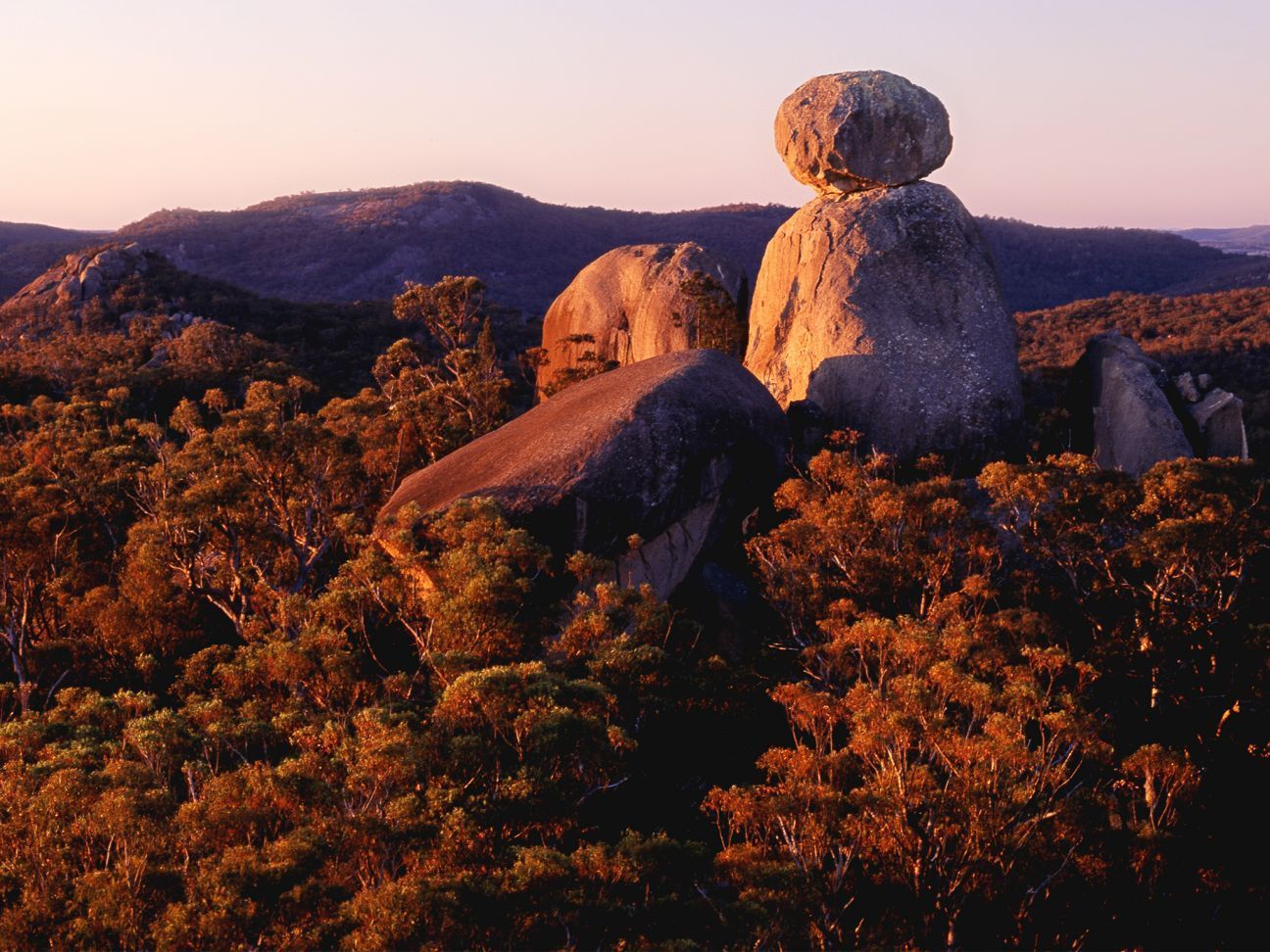 Girraween — Licensed Conveyancing Agent in Girraween, NT